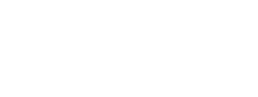 DSNlink Systems Logo
